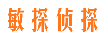 金水侦探公司